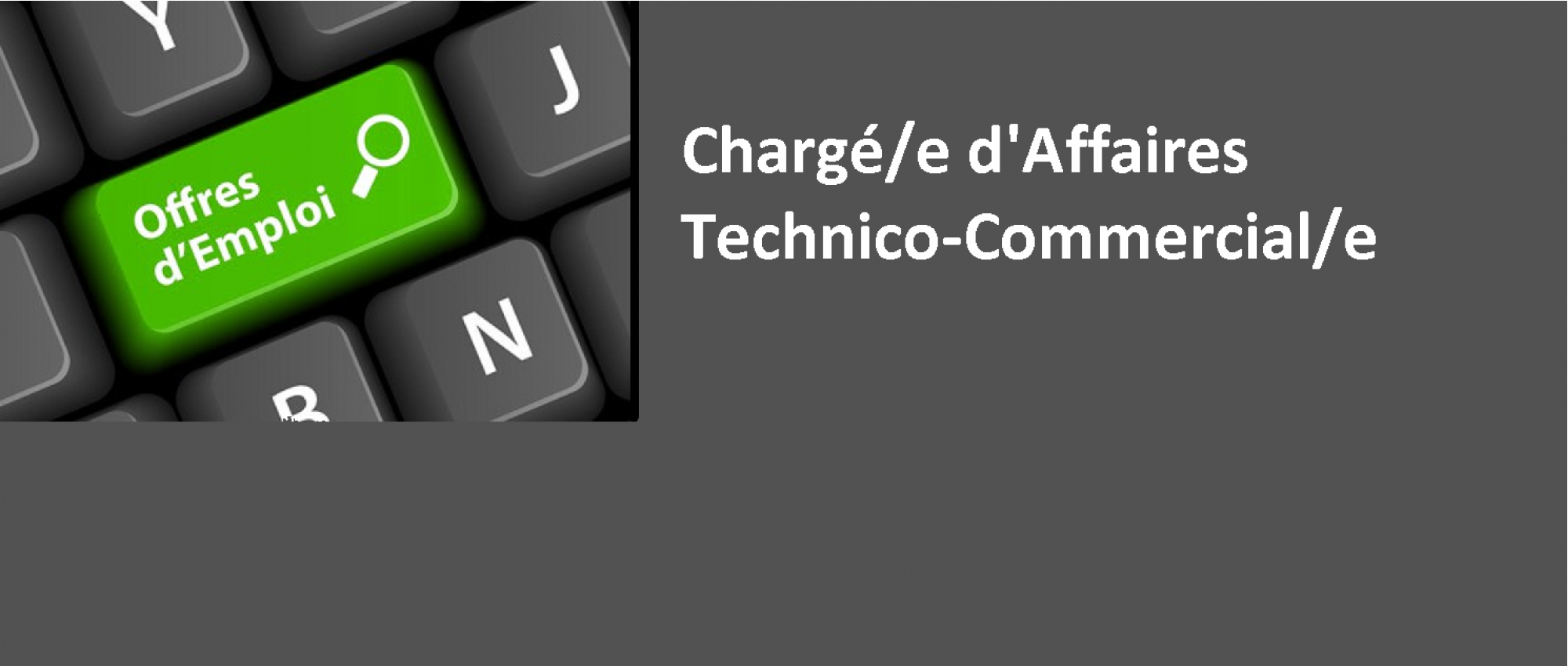 CHARGE/E D’AFFAIRES - TECHNICO COMMERCIAL/E