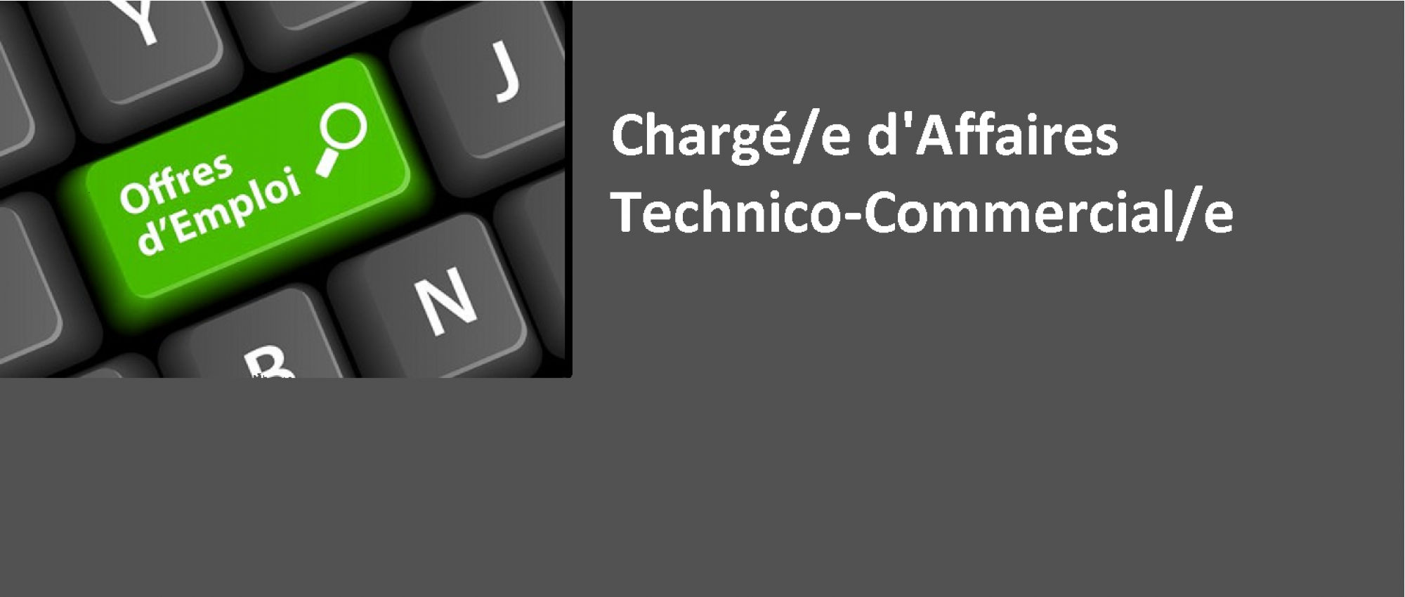 CHARGE/E D’AFFAIRES - TECHNICO COMMERCIAL/E CHARGE/E D’AFFAIRES - TECHNICO COMMERCIAL/E